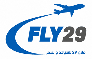 Fly 29 logo