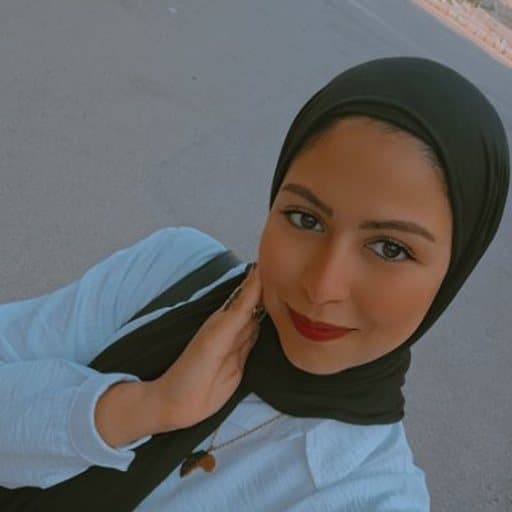 Aya Arabi, Office Support